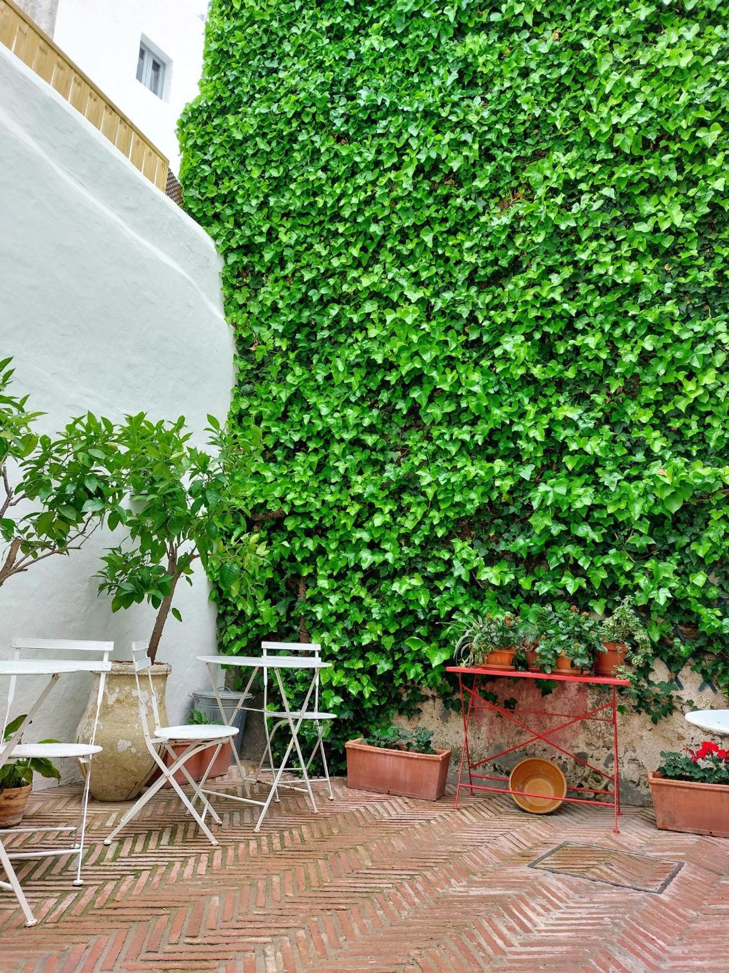 Casa Shelly Hospederia Hotel Vejer de la Frontera المظهر الخارجي الصورة